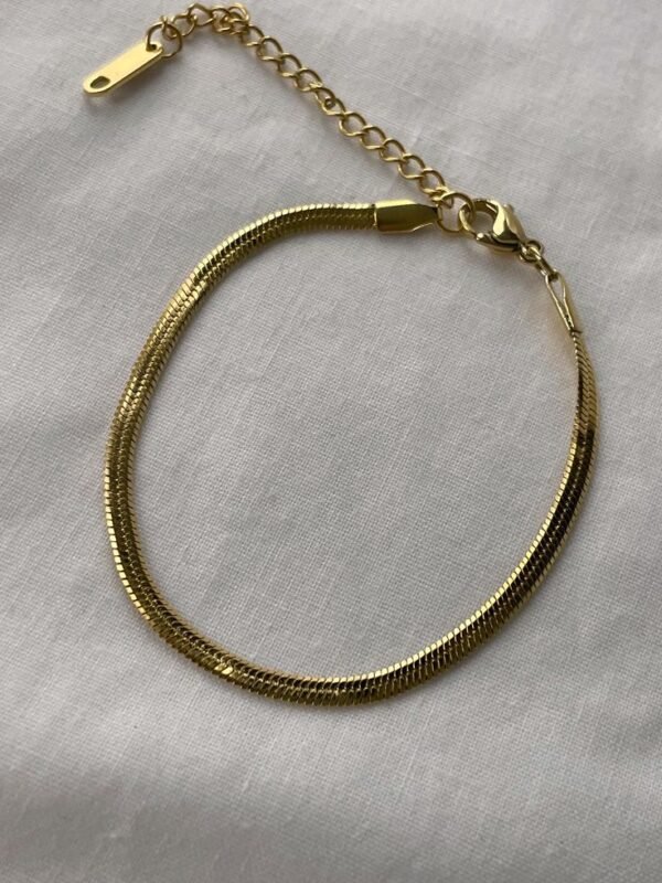 Snake Chain Anklet