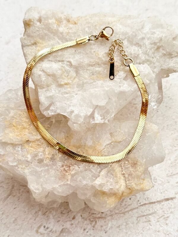 Snake Anklet