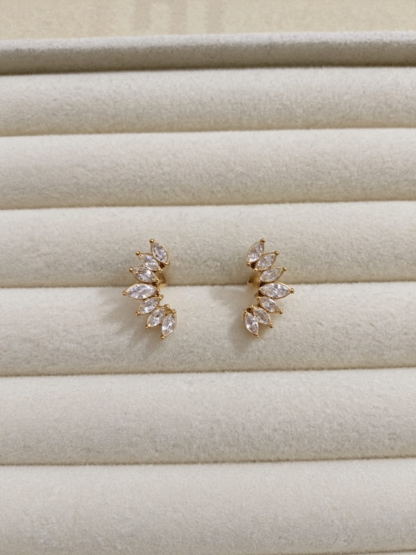 Zircon Studs